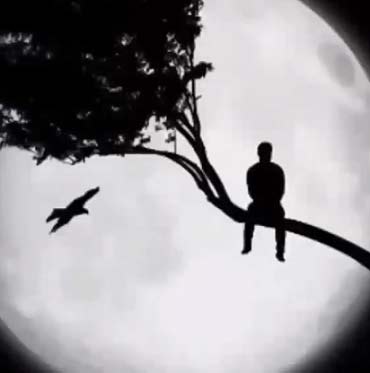 دانلود آهنگ نوایی علی اکبر موسوی